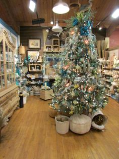 Wights Nursery Thenurseries Wights Nursery Thenurseries Wight S Home Garden Christmas Magic Pinterest
