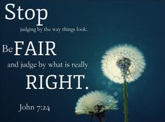 Pin By Elizabeth Smith On Bible Pin By Elizabeth Smith On Bible