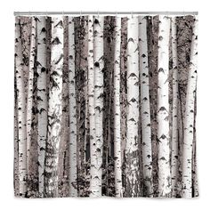 69 x 70 Shower Curtain Kess InHouse Frederic Levy-Hadida Fancy Stripes Green 69 x 70 Shower Curtain Kess InHouse Frederic Levy-Hadida Fancy Stripes Green