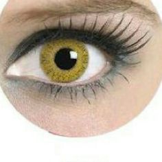 20 best contact lenses
