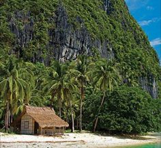 35 Best Hawaii Beach Hut Images On Pinterest Cottages Beach Hut
