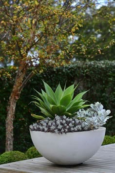 beauty succulents pots arrangement tips 81 image is part of 80 mini succulents pots arrangement tips to make it more beauty gallery you can read and see - Garden Pots beauty succulents pots arrangement tips 81 image is part of 80 mini succulents pots arrangement tips to make it more beauty gallery you can read and see - Garden Pots