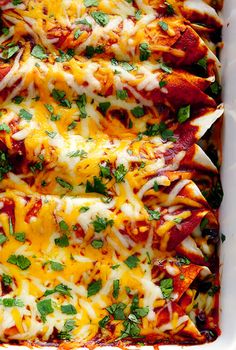 Cheesy Chicken Enchiladas