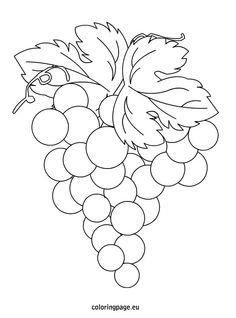 Download Grapes fruits and berries coloring pages for kids ...