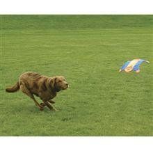 Canine Hardware Inc 11400 Flying Squirrel Dog Toy 11 Dogs Dog