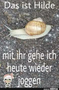 Das ist Hilde.. mit ihr gehe ich heute wieder joggen. | Lustige Bilder, Sprüche, Witze, echt lustig - #Bilder #das #echt #gehe #HEUTE #Hilde #humor #ich #Ihr #ist #joggen #lustig #lustige #mit #Sprüche #wieder #Witze