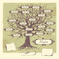102 Best Family Tree Examples Images Family Trees Creativity Frames