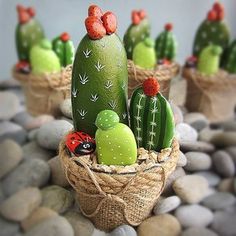308 Best Painted Rocks Cactus Images On Pinterest In 2018 Painted Rock Stone Painting Art