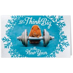 Alle Neujahrskarten 2016 zusammengefasst