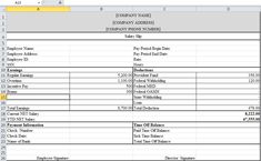 download sample of salary slip in excel format project management