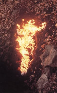 14 Best Process and Ephemeral Art Unit images | Ephemeral 14 Best Process and Ephemeral Art Unit images | Ephemeral