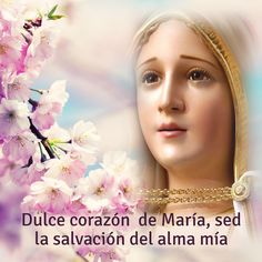 Resultado de imagen para ¡Virgen Inmaculada! Recordando con el mayor agradecimiento