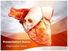 10 best cardiology powerpoint templates images templates free cardiac powerpoint templates