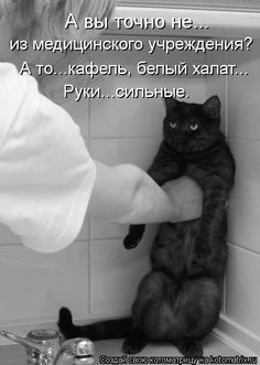 Парень феерично упал со стула.