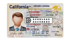 california id template psd california id template psd