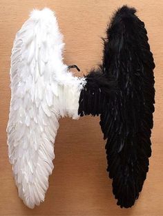 REAL FEATHER WINGS Large Adulte Noir Rouge Blanc Rose Halloween Noël Fantaisie
