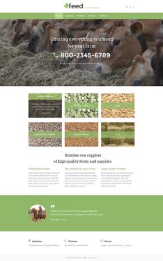 543 best web design