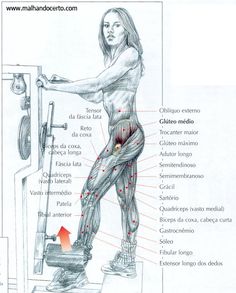 anatomical workout chart workout anatomy chart