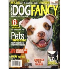 American Pit Bull Terrier (Terra-Nova)