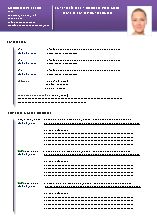 formato curriculum profesional word