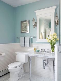 blue bathroom designs. pale blue bathroom with pale yellow accessories designs b