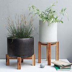 designer indoor plant pots exterior house diy contemporary minimalist container designs for back yard garden or home decor flower pots stands the best of indoor in 56 best images on pinterest plywood designer indoor plant pots exterior house diy contemporary minimalist container designs for back yard garden or home decor flower pots stands the best of indoor in 56 best images on pinterest plywood