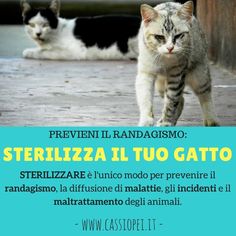 nero mozzicone orgia