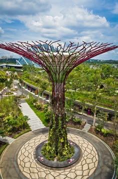 Garden By The Bay Food the top of supertree grove at gardensthe bay | nightlife, food Garden By The Bay Food the top of supertree grove at gardensthe bay | nightlife, food