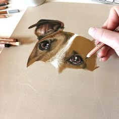 colored pencil art pinte