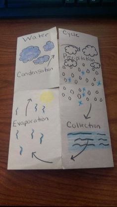 complete and incomplete metamorphosis venn diagram science rh pinterest com life cycle venn diagrams life cycle