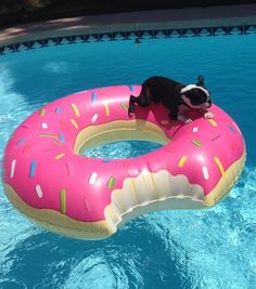 Swimline gonflable Sprinkle Cupcake Ride Sur Piscine ou lac Flotteur radeau