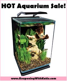 19 best 45 gallon