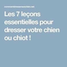 Nom de chien en O pour 2018, prénom de chien mâle et Nom de chien en O pour 2018, prénom de chien mâle et