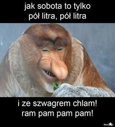 Najlepsze Obrazy Na Tablicy Memy Janusz Nosacz 25 W 2019 Chistes