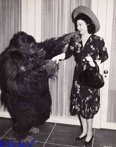 Black bikini gorilla jpeg Websites for real people orgasm