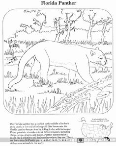 Pete-The-Cat-Coloring-Page - 6491b5de3541ef4b18b7c8a4b9523300--animal-coloring-pages-coloring-pages-for-kids 6491b5de3541ef4b18b7c8a4b9523300--animal-coloring-pages-coloring-pages-for-kids