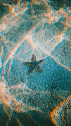 25 ideas de Fondos d milipili | iphone fondos de pantalla, fondos de