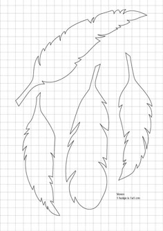 feather pattern use the printable outline for crafts creating