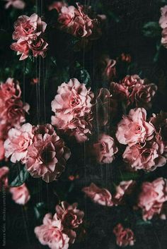 She Blooms Andjules Flowery Background Background Vintage Phone Backgrounds Wallpaper Backgrounds She Blooms Andjules Flowery Background Background Vintage Phone Backgrounds Wallpaper Backgrounds
