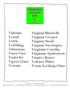 List of All Flowers Name beginning with P in our Dictionary of List of All Flowers Name beginning with P in our Dictionary of
