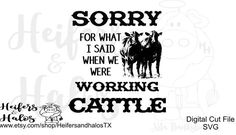 Download Bandana heifer cow - svg, pdf, png, eps, dxf, studio3 cut ...
