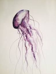 15 Qualle Ideen In 2021 Qualle Aquarell Aquarellbilder