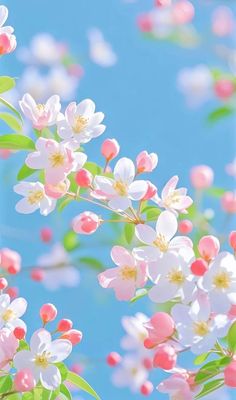 トールペイント」のアイデア 39 件【2025】 | トールペイント トールペイント」のアイデア 39 件【2025】 | トールペイント