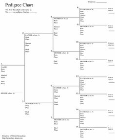 genealogy 6 generation pedigree chart helps when you make a family pedigree chart online
