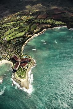 79 Best Magical Mystery Tour Ii Images On Pinterest Beautiful Turtle Bay North S Of Oahu Hawaii There Were So Many Turtles