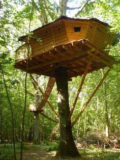Nice Tree Houses the 10 most beautiful towns in the philippines | baguio, tree Nice Tree Houses the 10 most beautiful towns in the philippines | baguio, tree