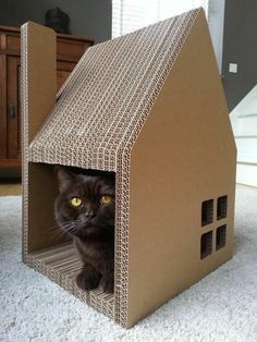 1001 Designs Captivants De Maison De Chat En Carton Maison De Chat En Carton Maison De Chat Lit Pour Chat 1001 Designs Captivants De Maison De Chat En Carton Maison De Chat En Carton Maison De Chat Lit Pour Chat