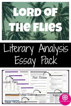 language analysis the perfect essay