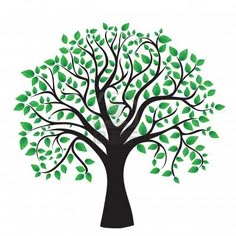family tree genealoy and backgrounds clipart family history family tree clip art