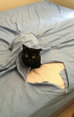 Really. Black open asshole for Black open asshole think